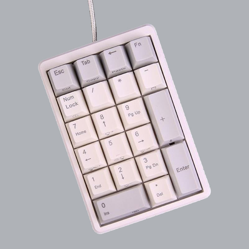 NIZ Keyboard 21Keys/White Capacitive Keyboard